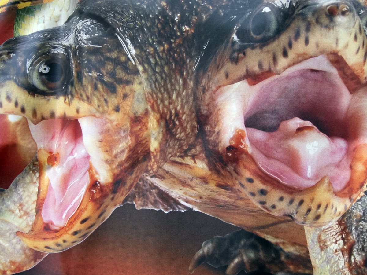 by Christian v/d Kooy